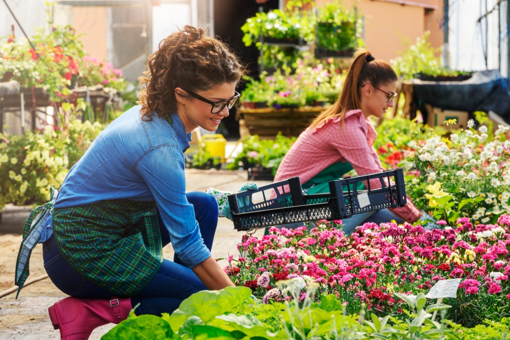 Young women working in beautiful garden center